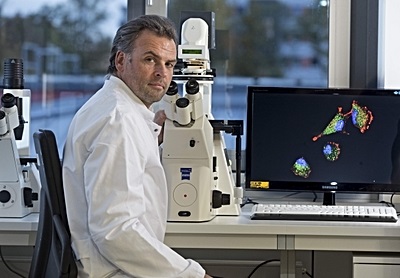 Prof. Nils Cordes, Leiter des Bereichs Strahlenbiologie am OncoRay, erforscht die biologischen Zelleigenschaften des Glioblastoms  Bild: HZDR/Rainer Weisflog